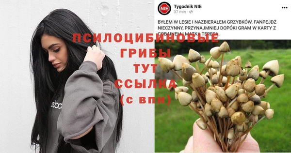 винт Осташков