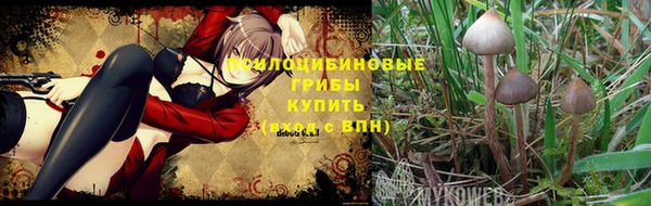 МДМА Осинники