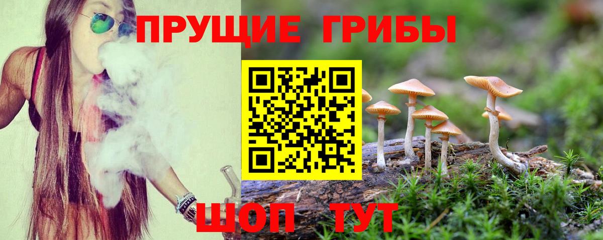 Североморск  Галлюциногенные грибы мицелий  Вход с VPN  даркнет сайт  Галлюциногенные грибы прущие грибы 