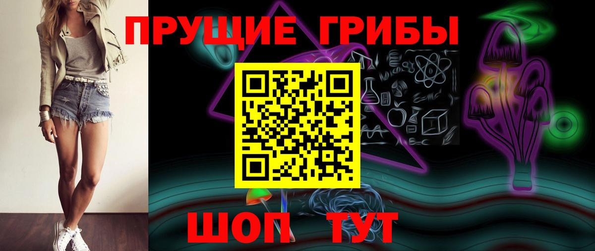 Галлюциногенные грибы Psilocybine cubensis  Североморск 