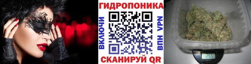 Бошки Шишки индика  нарко площадка формула  Североморск  купить наркотики сайты 